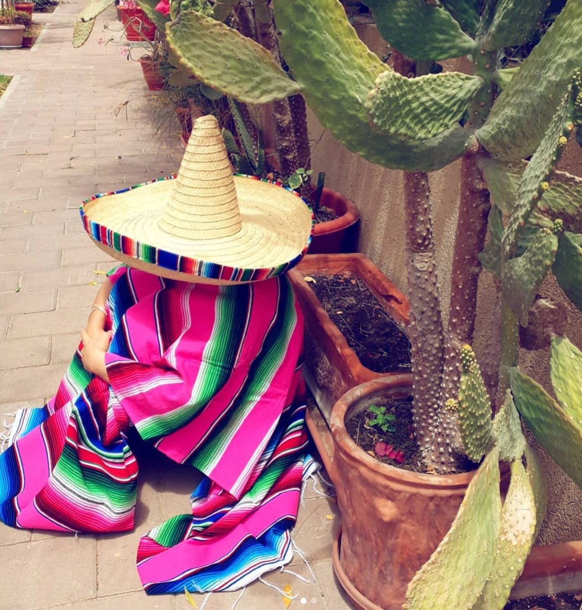 Cultural Connections The History of Mexican Blankets By Colours of