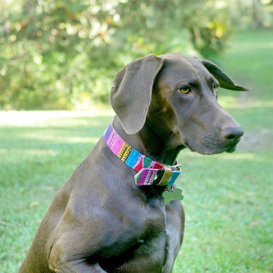 Hand Woven Mayan Pet Collars - Made in Guatemala