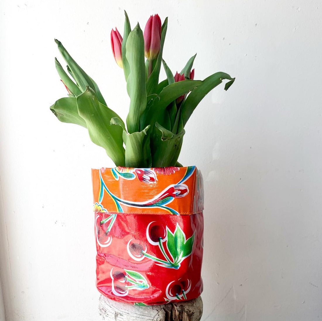 Frequently Asked Questions about Mexican Oilcloth Fabric, by Colours of Mexico