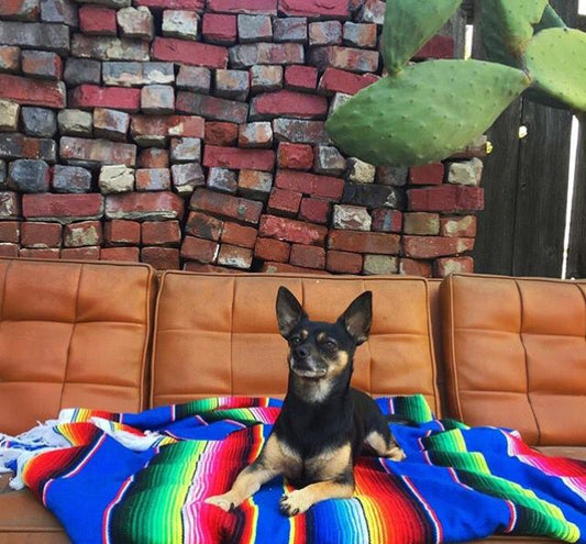 The Versatility of Mexican Blankets: From Picnics to Yoga - Colours of Mexico