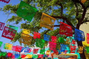 Papel Picado: Mexican Bunting